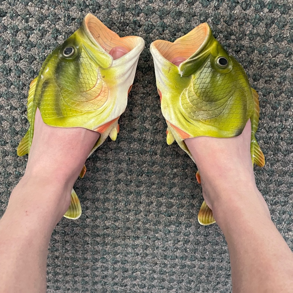 Fish Slides - Picture 2 of 3